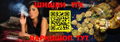 jwh Бийск