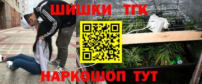 jwh Бийск