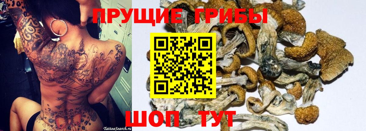 Псилоцибиновые грибы MAGIC MUSHROOMS  Вход с VPN  Калуга 