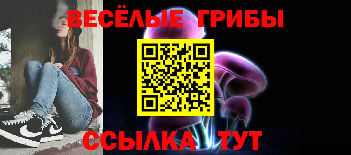 Галлюциногенные грибы Psilocybe Калуга